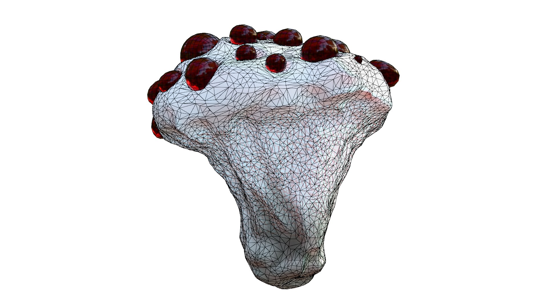 Hydnellum Peckii 3D model https://p.turbosquid.com/ts-thumb/A4/xCQgNV/MW/wire13/png/1762667678/1920x1080/fit_q87/97ca0b58c51210fc4fab4e13eb8a089d4008a52b/wire13.jpg