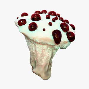 Hydnellum Peckii 3D model