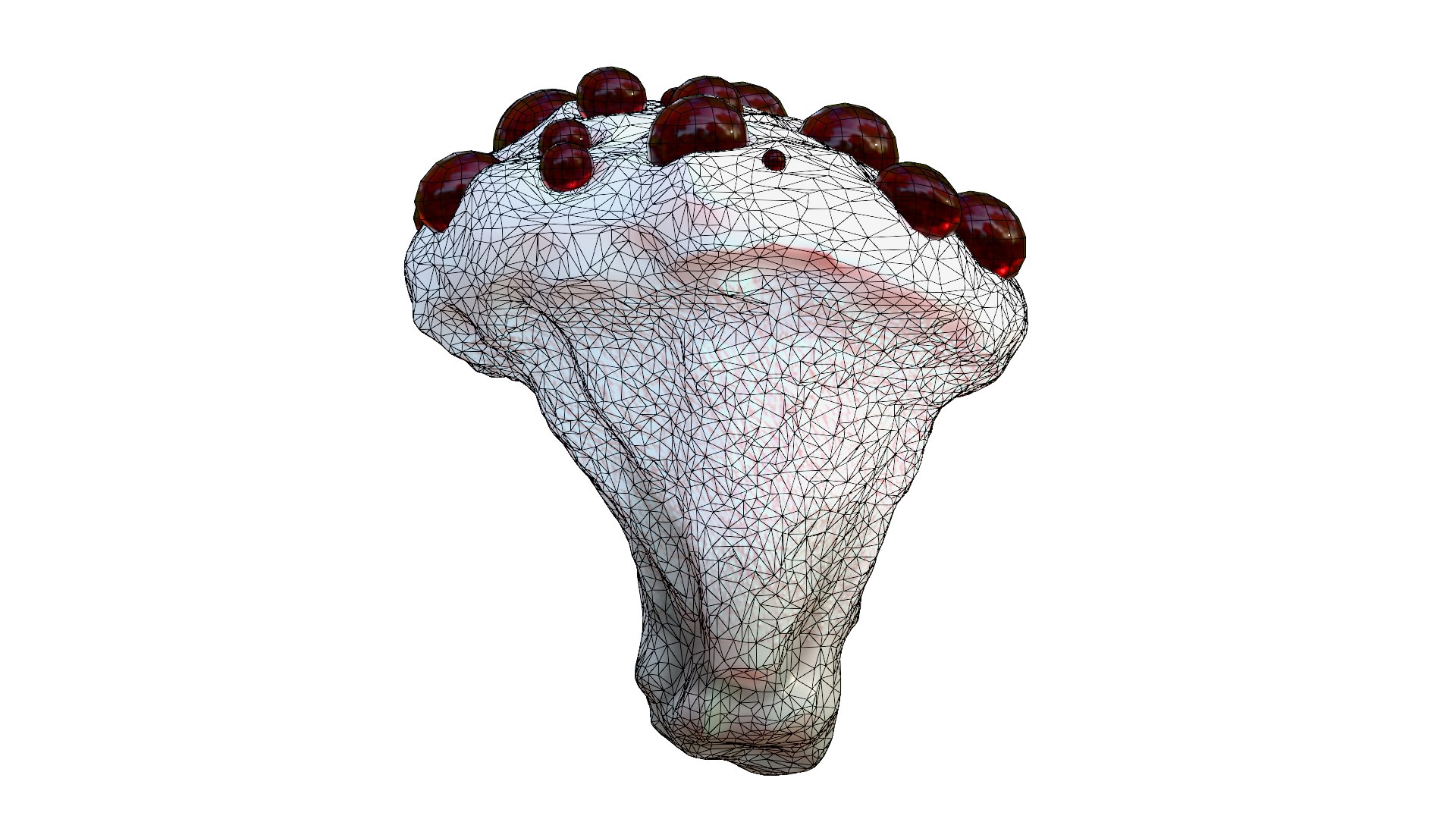 Hydnellum Peckii 3D model https://p.turbosquid.com/ts-thumb/A4/xCQgNV/cK/wire15/png/1762667679/1920x1080/fit_q87/70ea5a7adc465fcc05bee31a6393e6f97a9f0290/wire15.jpg