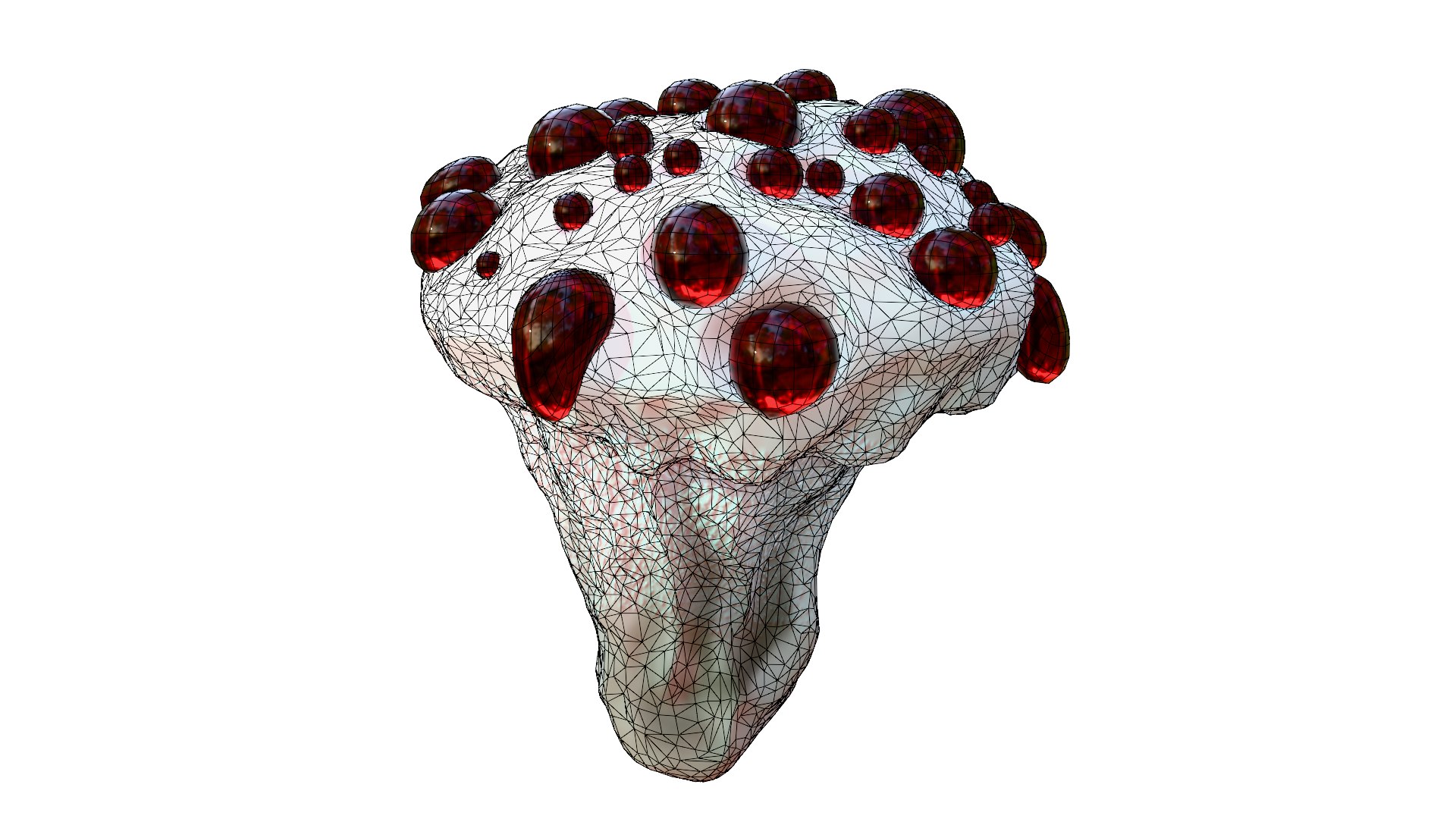 Hydnellum Peckii 3D model https://p.turbosquid.com/ts-thumb/A4/xCQgNV/n9/wire03/png/1762667670/1920x1080/fit_q87/aaf89590e5a5bf078be7abb9e3e86b4ca8455ecf/wire03.jpg