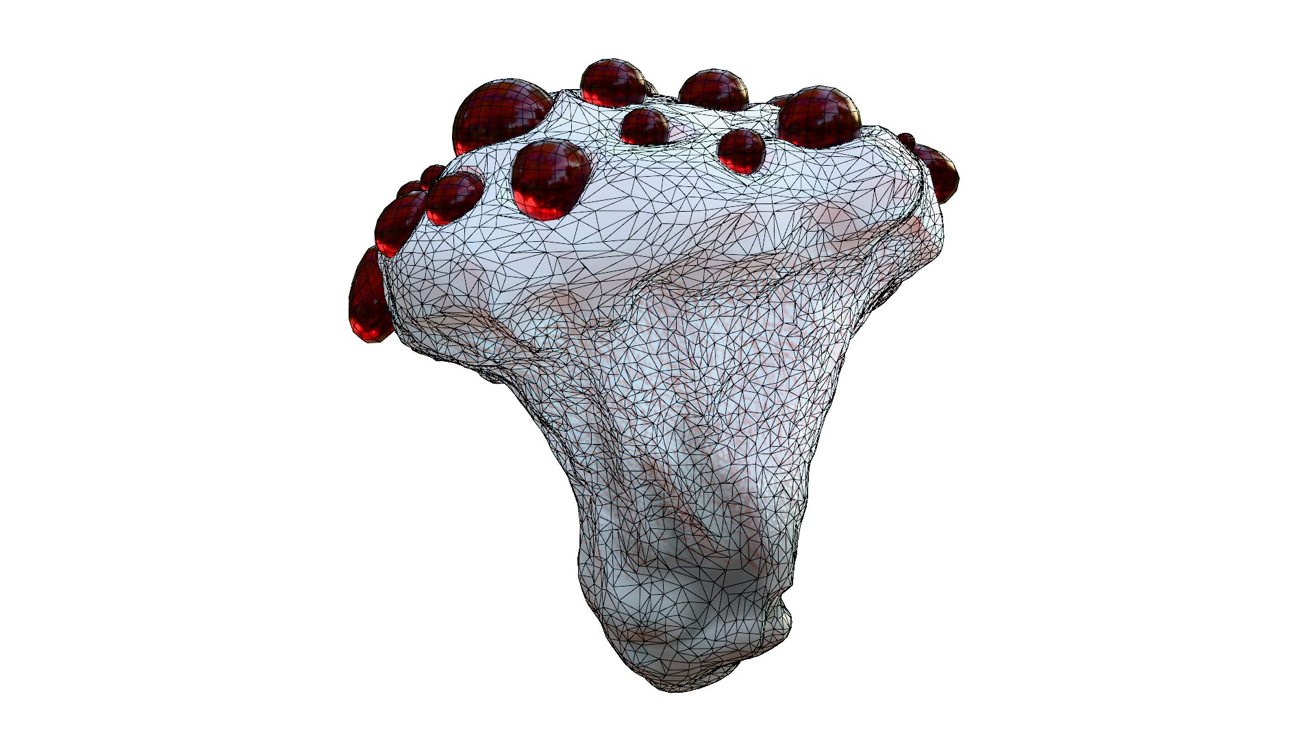 Hydnellum Peckii 3D model https://p.turbosquid.com/ts-thumb/A4/xCQgNV/qQ/wire12/png/1762667677/1920x1080/fit_q87/1c9fe30a6b9a092439f6c04b880deeba86d5a6f0/wire12.jpg