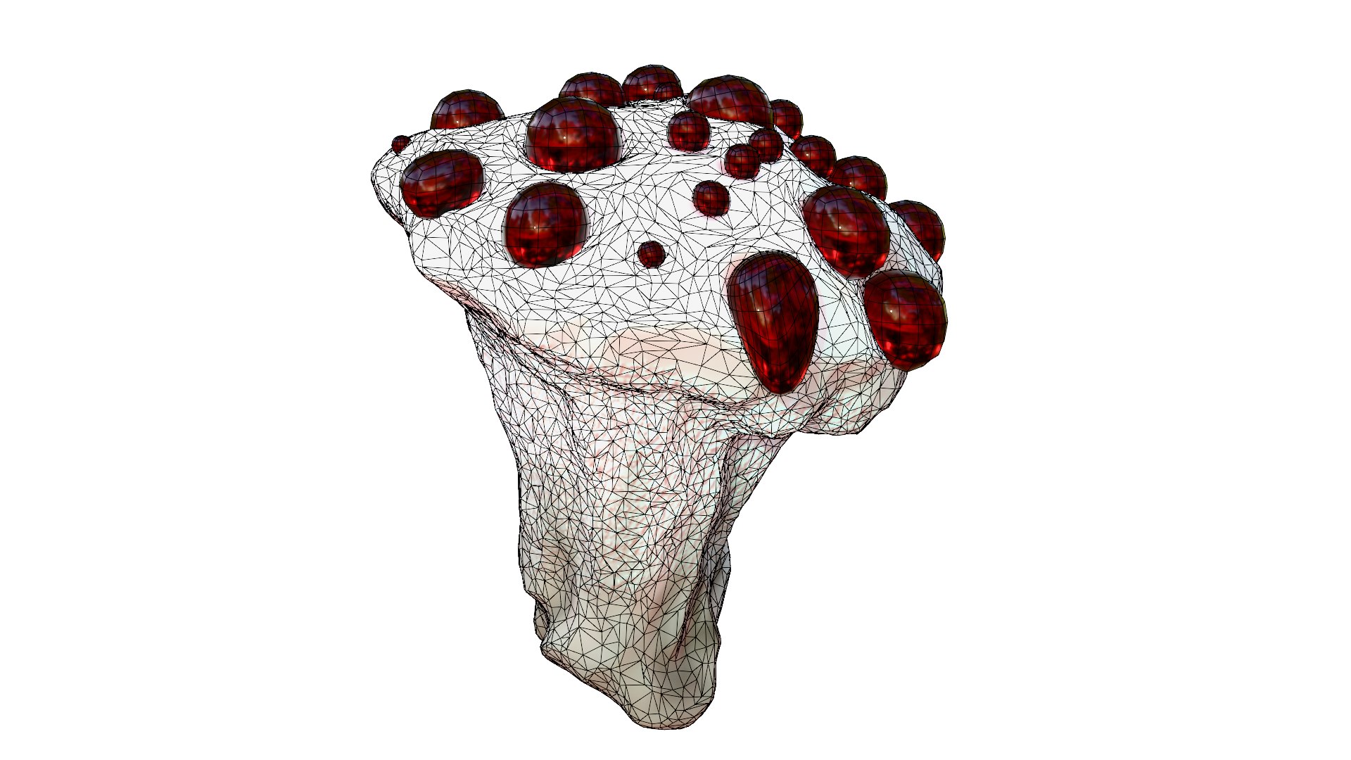 Hydnellum Peckii 3D model https://p.turbosquid.com/ts-thumb/A4/xCQgNV/y4/wire20/png/1762667681/1920x1080/fit_q87/2931e9ac29bf015889e9d306215ff736d3041726/wire20.jpg