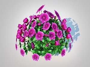 3D Chrysanthemum - Hardy Mumpurple model