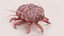 Scabies Mite RIGGED 3D model
