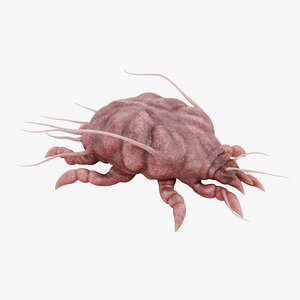 Scabies Mite RIGGED 3D model
