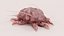 Scabies Mite RIGGED 3D model