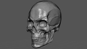 Skull For Art