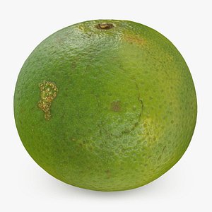 Green Mandarin 01 3D