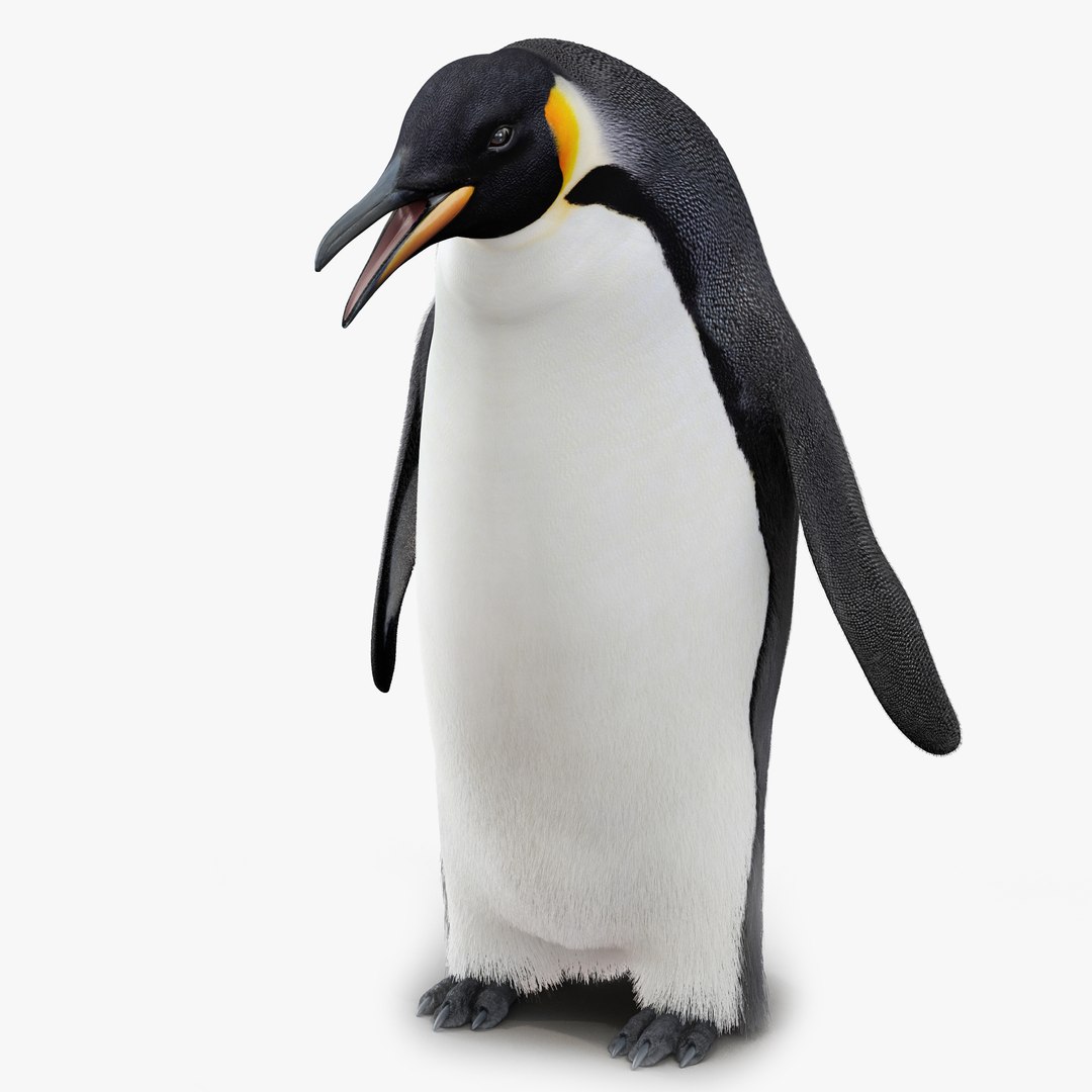Penguin Pose 3 with Fur 3D Model 3D model preview