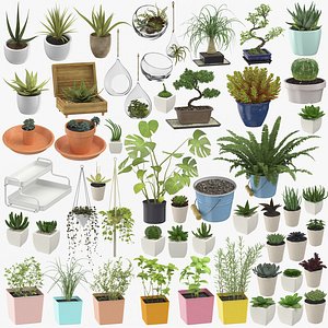 indoor plants herbs - 3D model