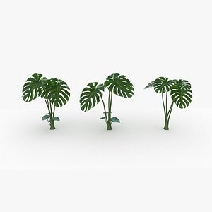 3D plant nature model