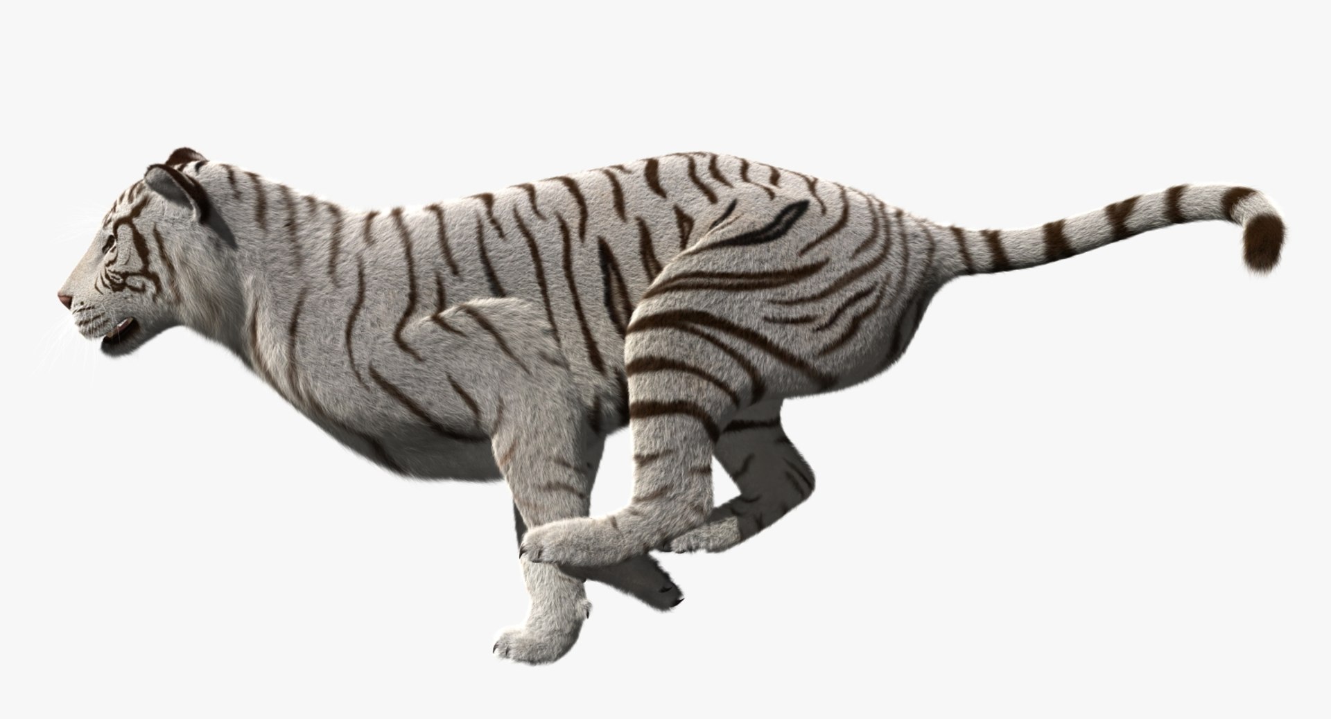white tiger 3d obj https://p.turbosquid.com/ts-thumb/A6/5p8hx0/EW5DJetA/rp04/jpg/1478438878/1920x1080/fit_q87/4afd712b6c2b63c6b2789423c894635662650335/rp04.jpg