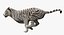 Stylized White Tiger