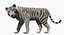 Stylized White Tiger
