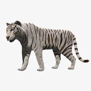 Stylized White Tiger