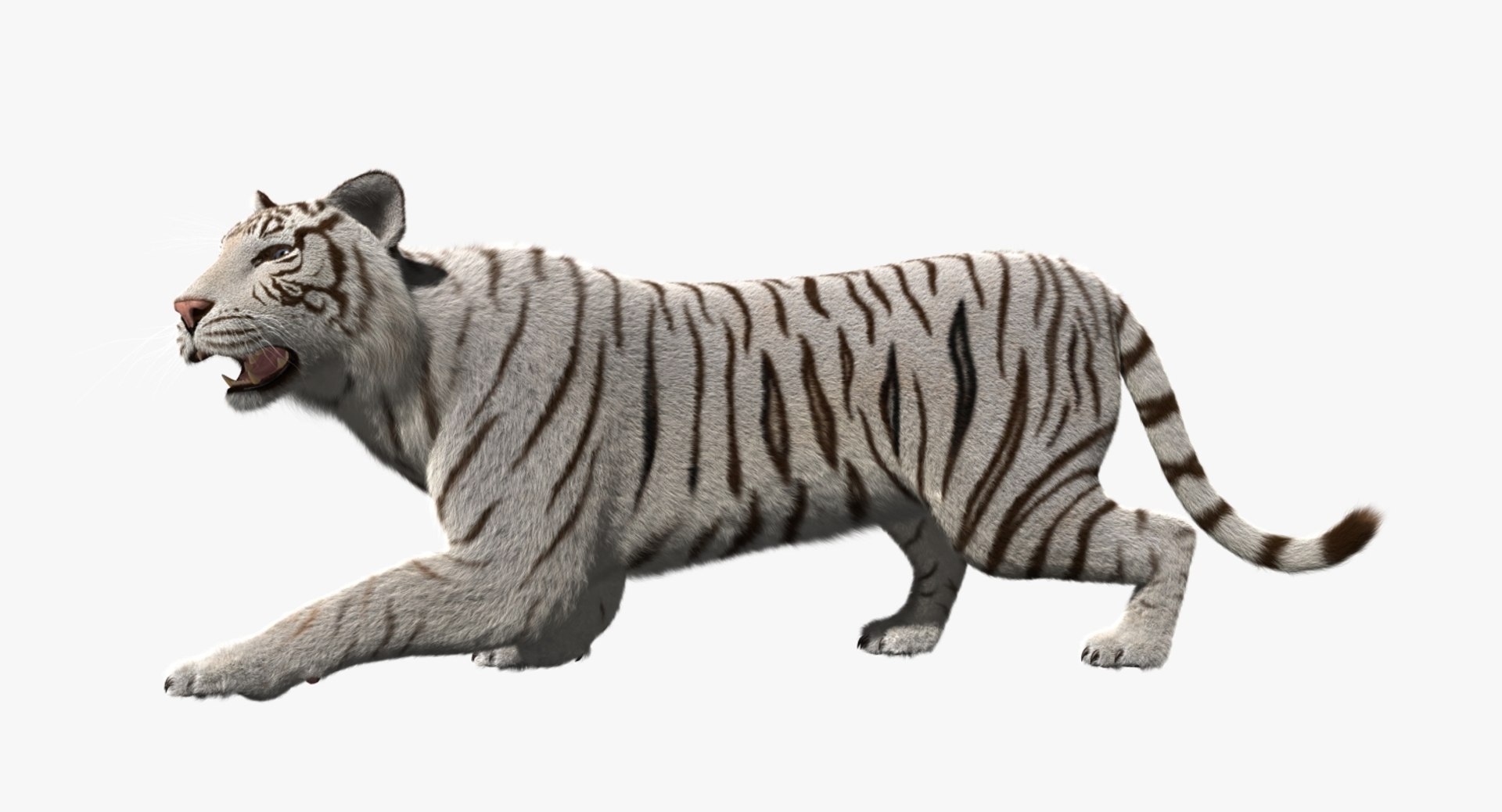 white tiger 3d obj https://p.turbosquid.com/ts-thumb/A6/5p8hx0/YHCOEh08/rp10/jpg/1478438878/1920x1080/fit_q87/df6e924a5911794a9d79940c3071c5a7eef3abe5/rp10.jpg