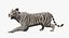 Stylized White Tiger