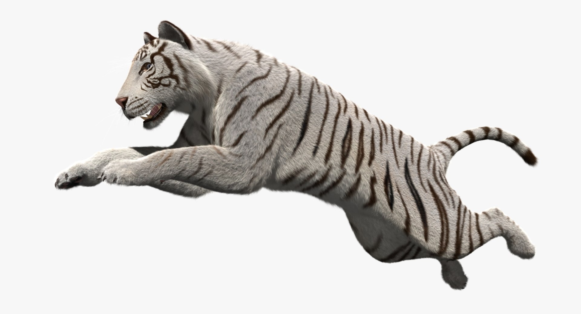 white tiger 3d obj https://p.turbosquid.com/ts-thumb/A6/5p8hx0/ahQTG8gC/rp08/jpg/1478438878/1920x1080/fit_q87/7277d1709ec492c495b08cdf4658f118c85186d8/rp08.jpg