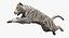 Stylized White Tiger