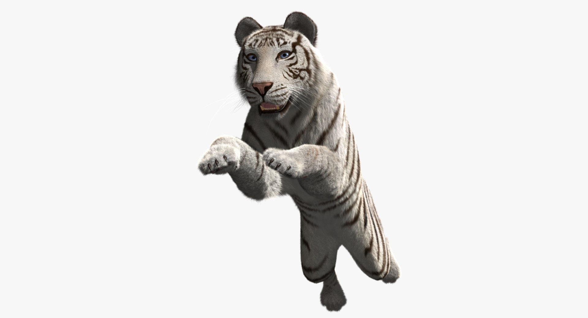 white tiger 3d obj https://p.turbosquid.com/ts-thumb/A6/5p8hx0/dFgECoI8/rp07/jpg/1478438878/1920x1080/fit_q87/3fd7b4d0295e27d999a84a436435a404f8645b03/rp07.jpg
