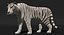 Stylized White Tiger