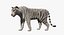 Stylized White Tiger