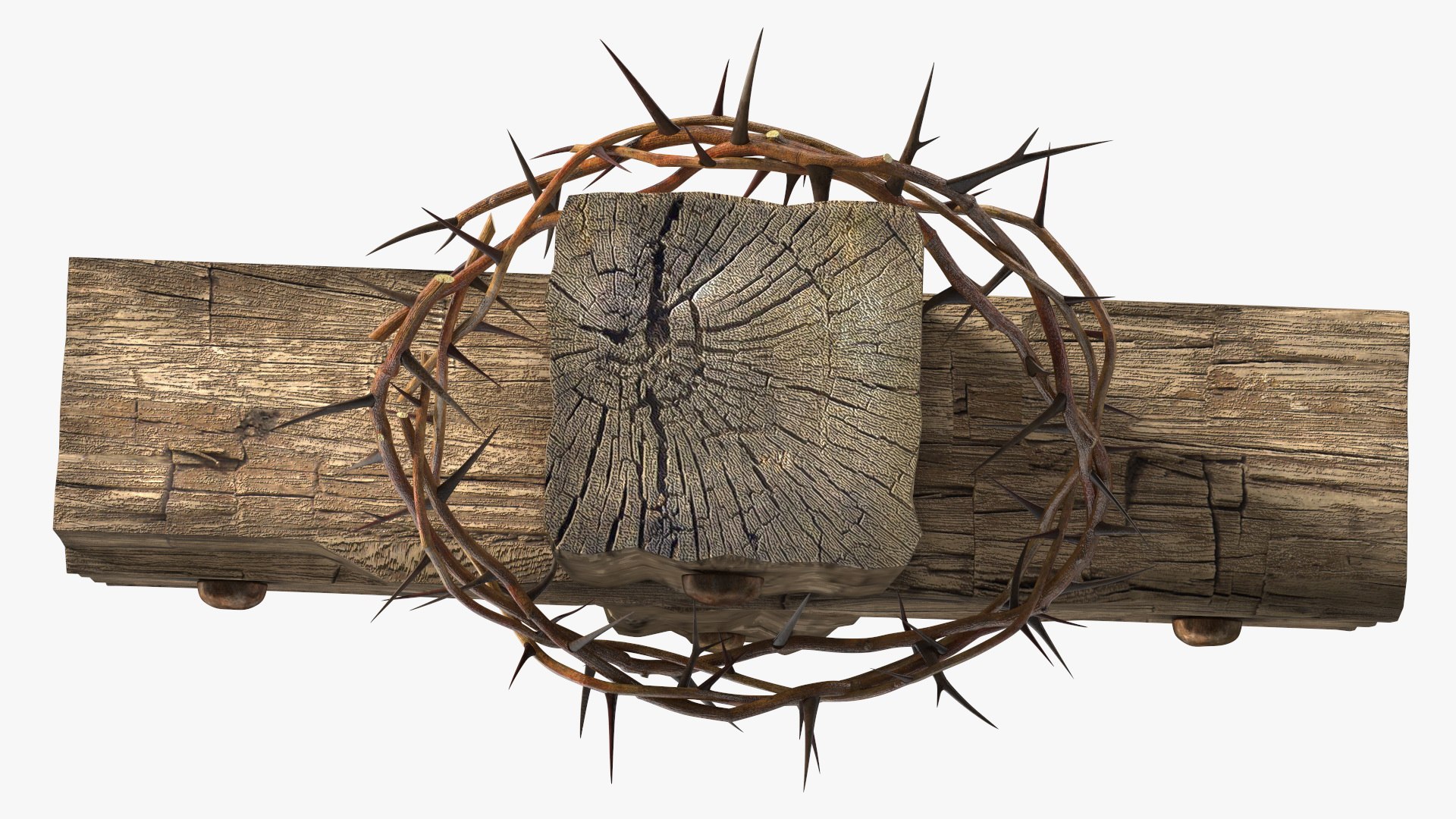 3D Cross with Crown of Thorns https://p.turbosquid.com/ts-thumb/A6/HEaJNS/Qw/crosswithcrownofthornsc4dmodel008/jpg/1656161860/1920x1080/fit_q87/d80ef382c2999b99e225597568f107b363a7487e/crosswithcrownofthornsc4dmodel008.jpg