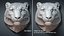 Snow Leopard Head Sculpture Spotted