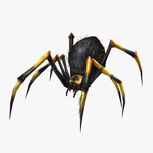 Animated spider 3D model