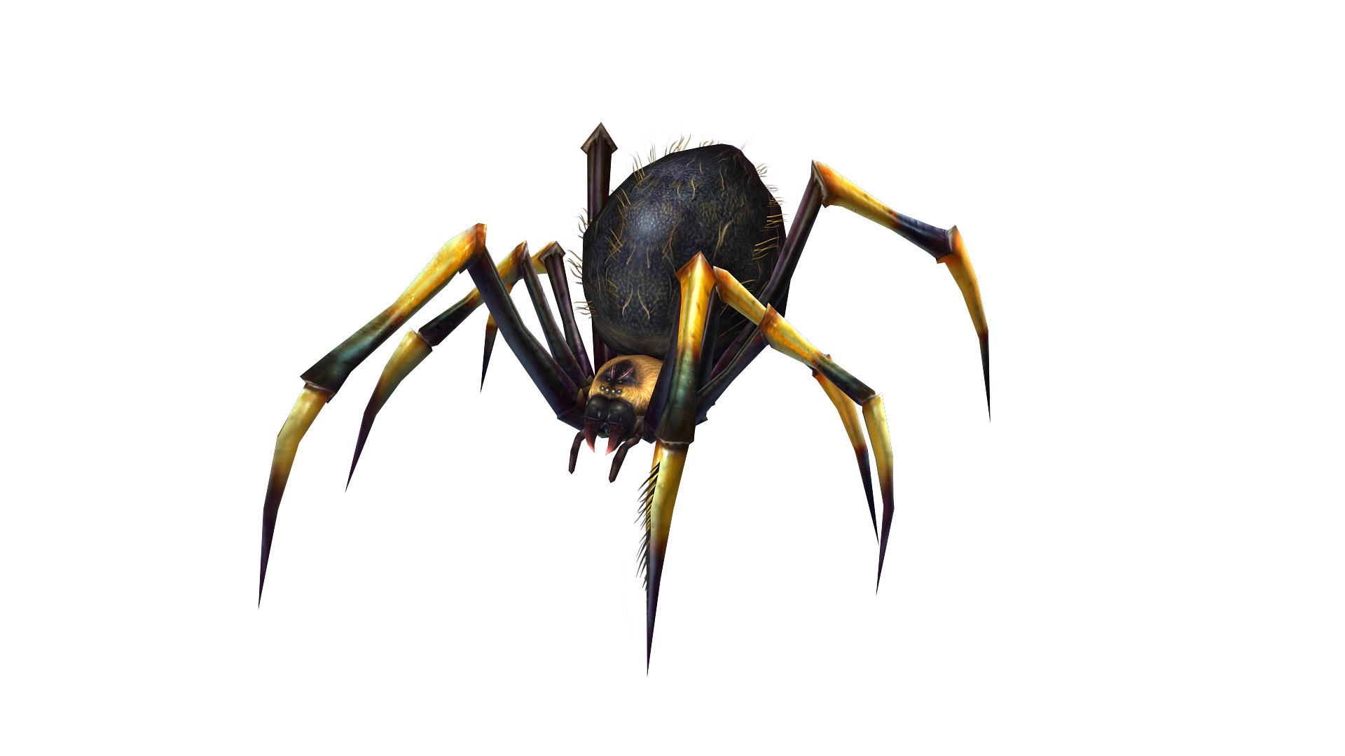 Animated Spider 3D Model - TurboSquid 2152925