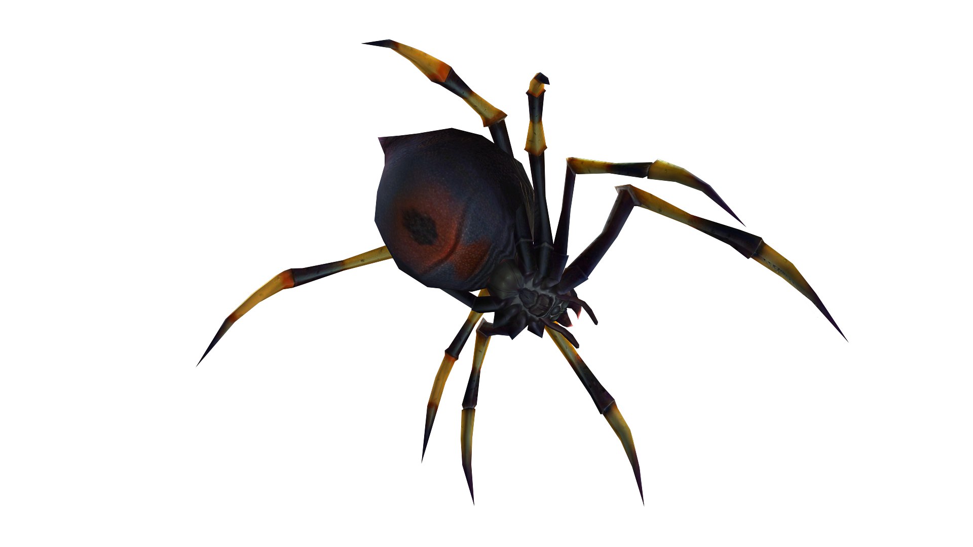 Animated Spider 3D Model - TurboSquid 2152925