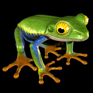 frog 3d model