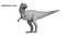 Giganotosaurus Toy