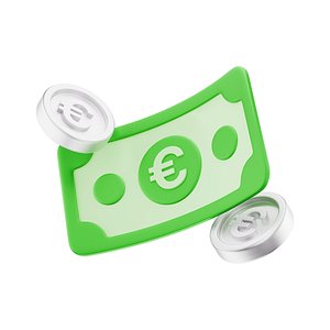 3D Banknote Euro Coins Icon
