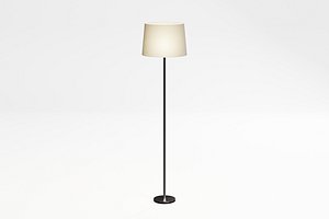 Free Standing Lamp