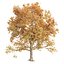 Seasonal Tree 560