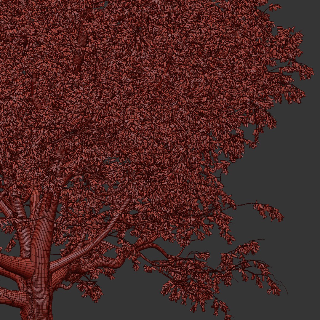 Seasonal Tree 560 3D model https://p.turbosquid.com/ts-thumb/A6/WpT3oF/QS/7/jpg/1791196295/1920x1080/fit_q87/fbf1342481e010f8fc326fb857d318d551c8653b/7.jpg