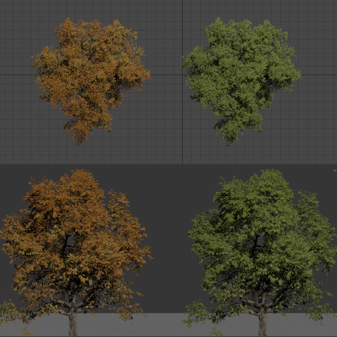 Seasonal Tree 560 3D model https://p.turbosquid.com/ts-thumb/A6/WpT3oF/Sh/5/jpg/1791196295/1920x1080/fit_q87/5ccb8a4cd69d8cc4c4241475378693d0d185cbe2/5.jpg