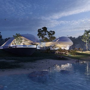 Organic architecture beach villa house Lumion render Bonus Revit 3D