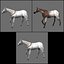 horse gray rigged 3d model