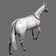 horse gray rigged 3d model
