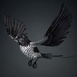 Pheasant Bird-B7 3D