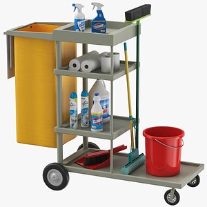 Cleaning Cart