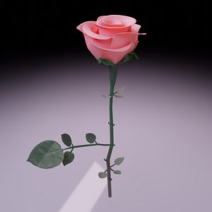 3D rose flower plants model