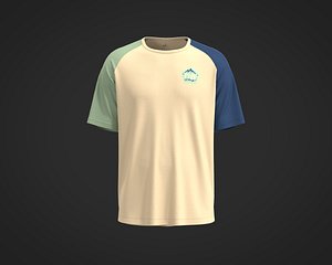 Mens raglan t-shirt with color blocking and graphic 3D model