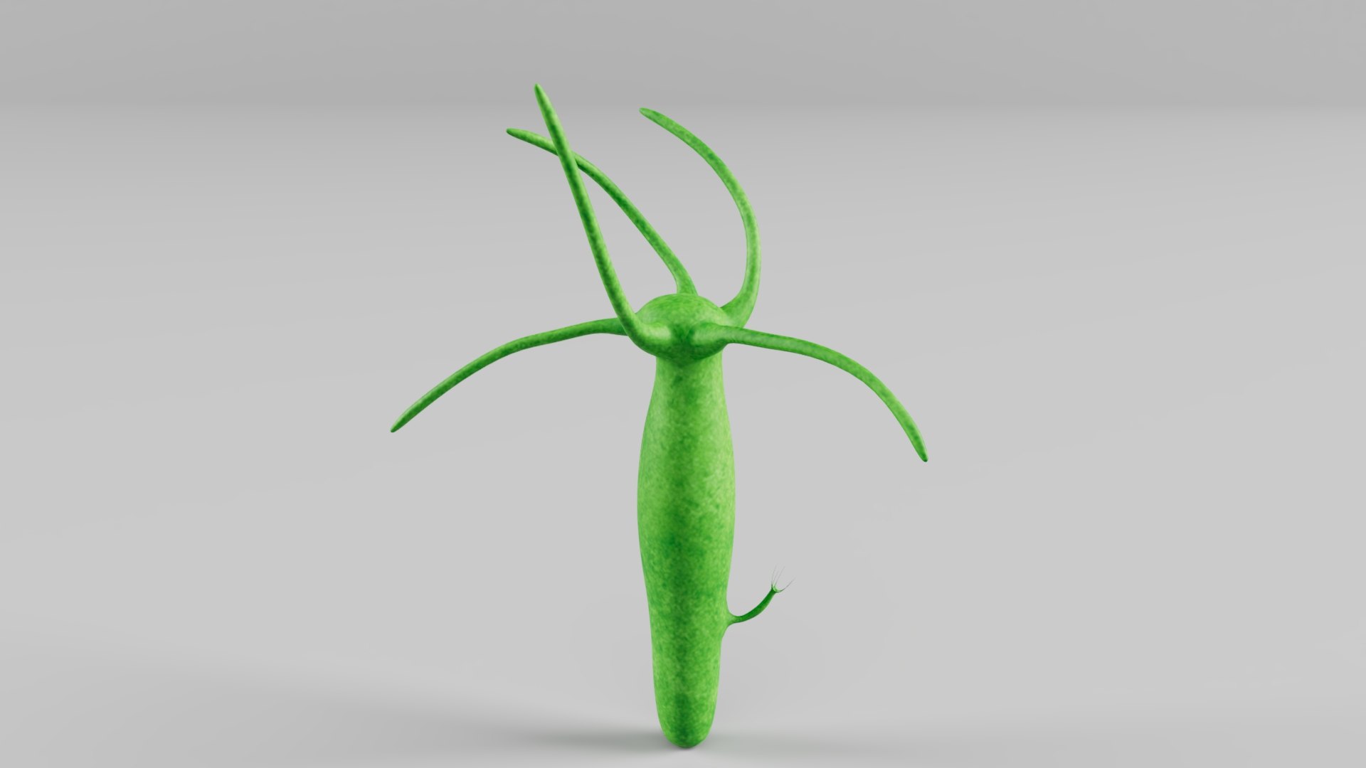 Budding-Animation 3D model https://p.turbosquid.com/ts-thumb/A6/xYapOf/Bd/budding_02/jpg/1673854669/1920x1080/fit_q87/445dd0e485ff7ba30a511118febd880f3717bd4f/budding_02.jpg