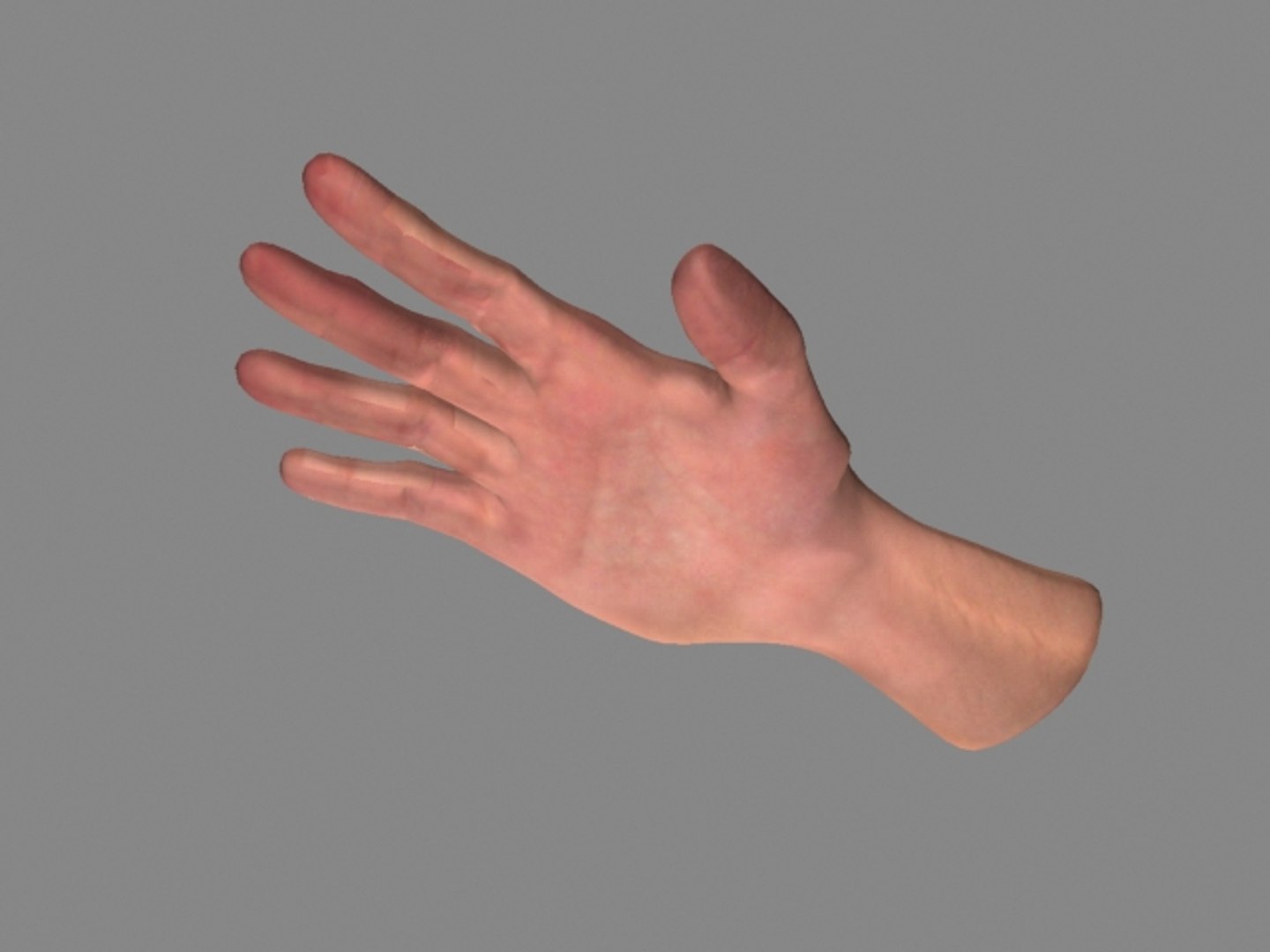 3d Human Male Hand Model