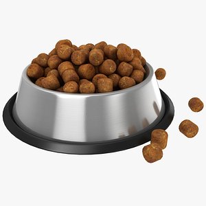 Bowl of Dog Food 02