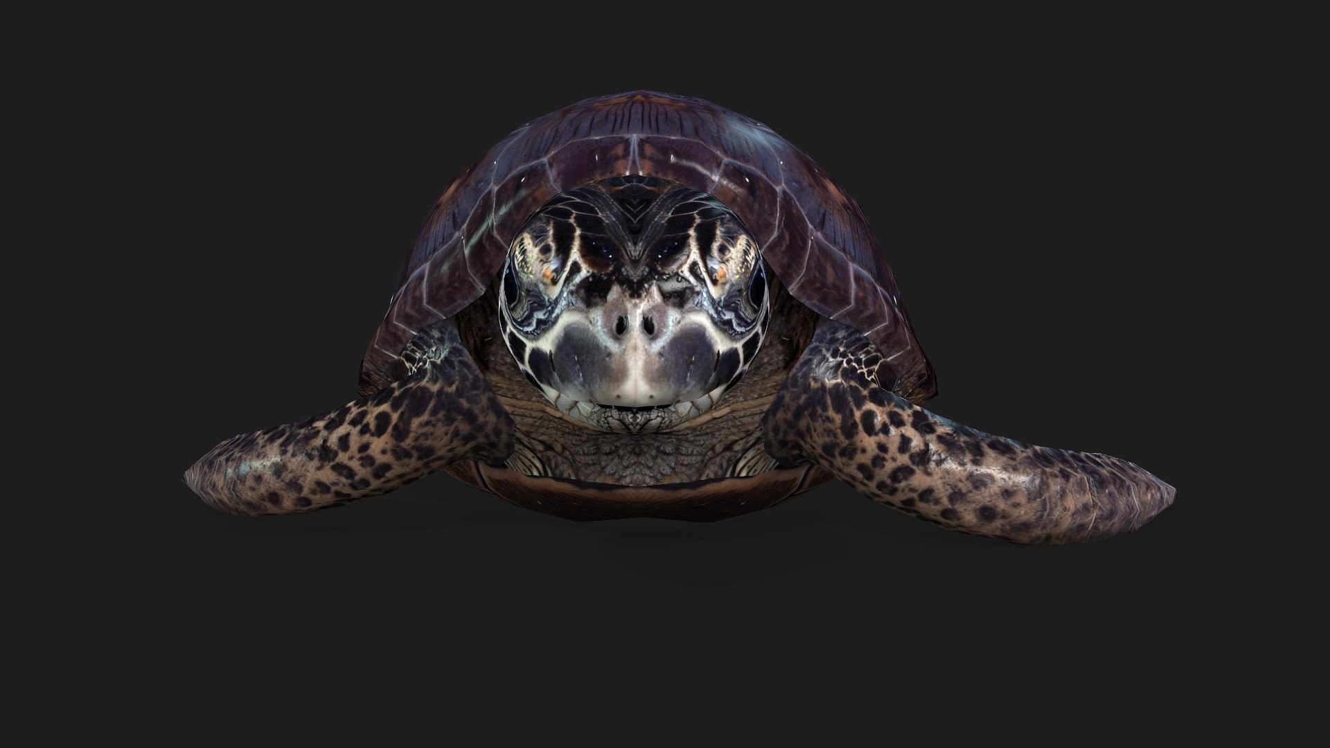 Turtle-A2 3D https://p.turbosquid.com/ts-thumb/A7/MbQxBf/2n/preview5/jpg/1755318287/1920x1080/fit_q87/513e295f4f45d784d126341c82945c43ffb71b56/preview5.jpg