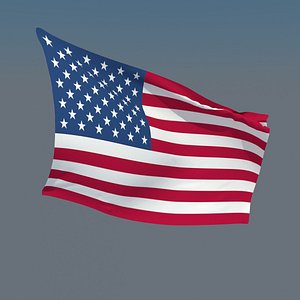 Animation Flags